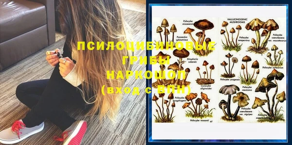 прущая мука Абаза