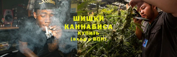 ГАЛЛЮЦИНОГЕННЫЕ ГРИБЫ Красноперекопск