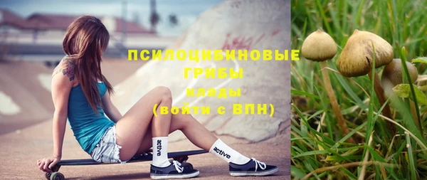 ПСИЛОЦИБИНОВЫЕ ГРИБЫ Абинск