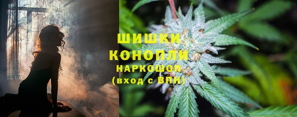 ГАЛЛЮЦИНОГЕННЫЕ ГРИБЫ Абдулино